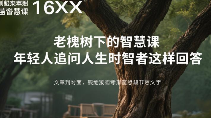 老槐树下的智慧课 年轻人追问人生时智者这样回答