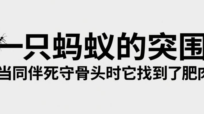 一只蚂蚁的突围：当同伴死守骨头时它找到了肥肉