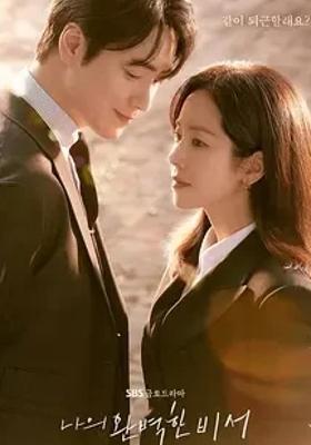 《我的完美秘书》：女霸总与男秘书的治愈爱恋