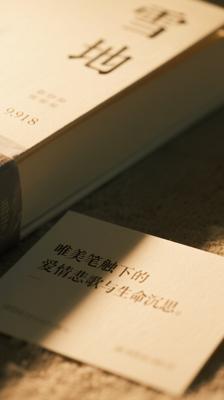 《雪国》：唯美笔触下的爱情悲歌与生命沉思