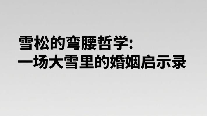 雪松的弯腰哲学：一场大雪里的婚姻启示录