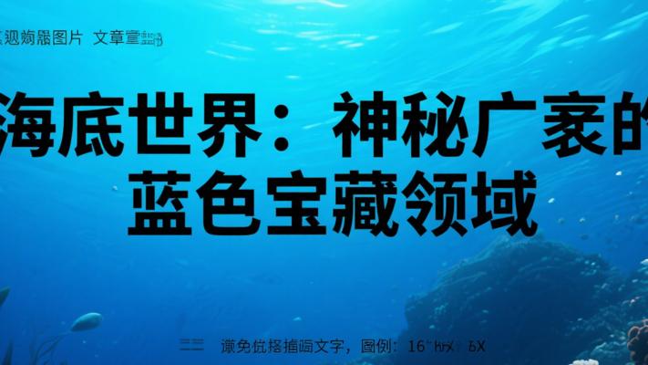 海底世界：神秘广袤的蓝色宝藏领域