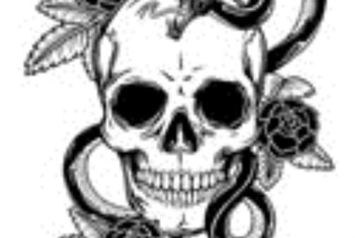 《狸猫》：老宅惊魂与被遗忘的血色童年