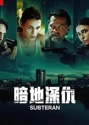 《暗地深仇》：罗马尼亚式复仇悬疑剧的独特魅力