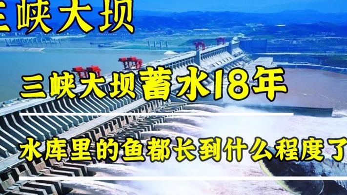 蓄水18年的三峡大坝 鱼界天堂里的大鱼传奇