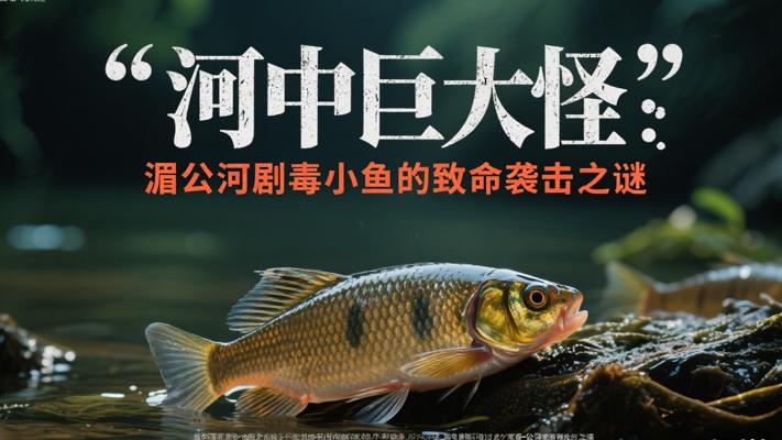 河中巨怪：湄公河剧毒小鱼的致命袭击之谜