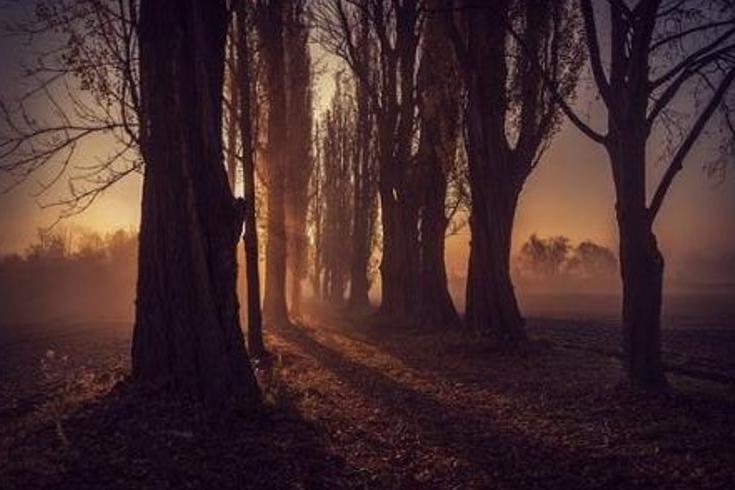 阿什河畔鱼姑奇缘：垂钓翁的仙凡报恩记