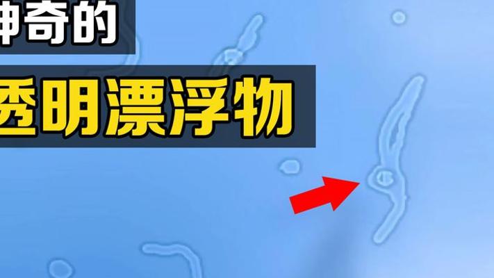 发呆时看见的透明小虫肚子发光之谜