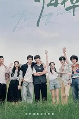 《归棹》：岭南水乡中兄弟的成长与亲情救赎