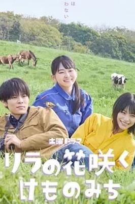 《丁香花开的兽道》：少女于兽医之路的成长蜕变