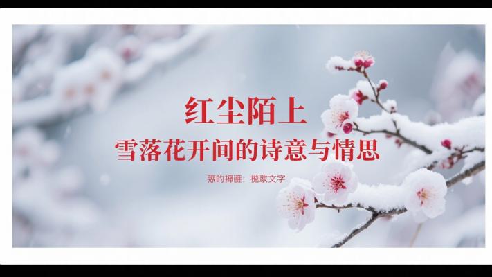 红尘陌上雪落花开间的诗意与情思
