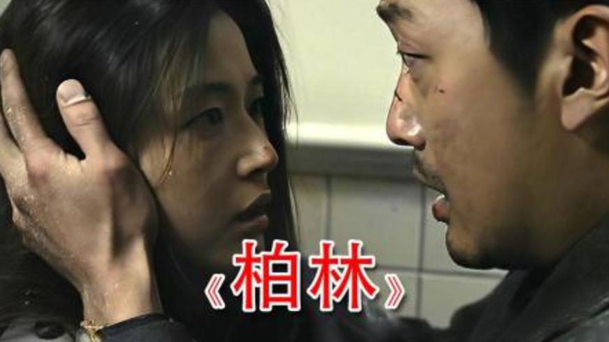 《柏林谍变：40亿机密下的特工生死迷局》