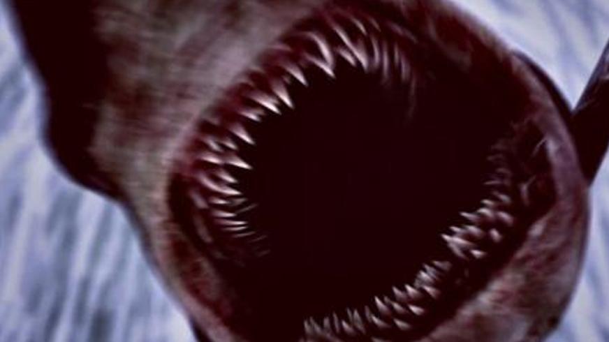 《毒鲨》：变异毒鲨肆虐海岛的丧尸危机与生存之战