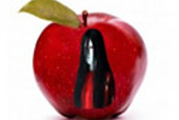 《图书馆秘影：18年悬案背后的咒怨凝视》