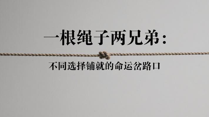一根绳子两兄弟：不同选择铺就的命运岔路口