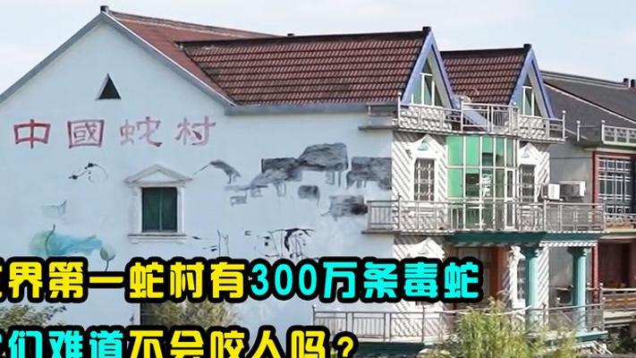 浙江世界第一蛇村：300万条蛇与人同住不咬人之谜