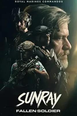 《残阳猎杀》：退伍老兵的热血复仇与心灵救赎