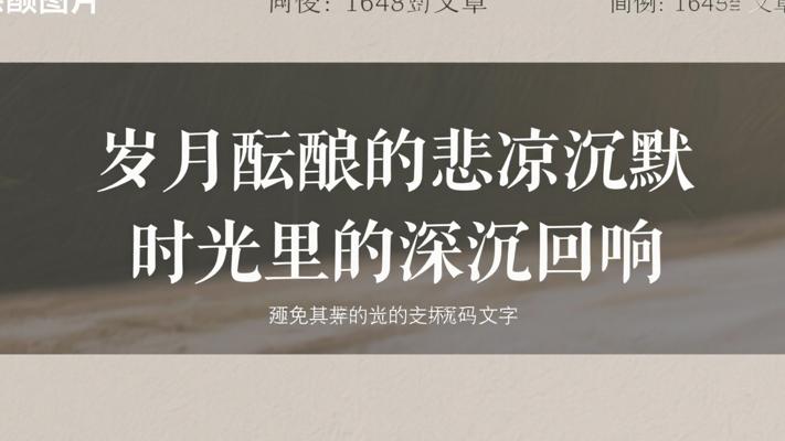 岁月酝酿的悲凉沉默 时光里的深沉回响