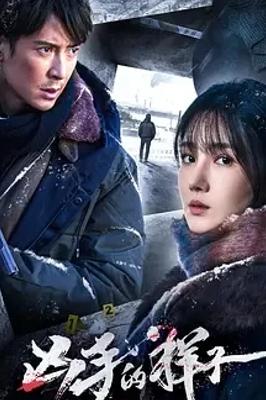 《凶手的样子》：悬疑迷不可错过的刑侦佳作