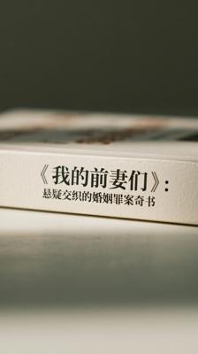《我的前妻们》：悬疑交织的婚姻罪案奇书