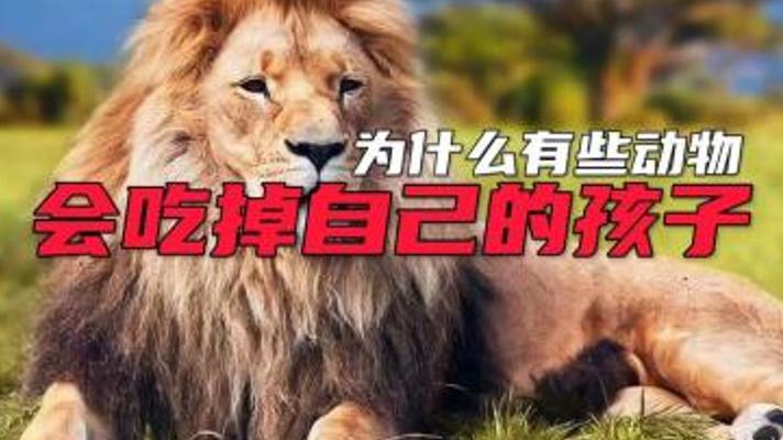 揭秘动物世界：探究动物吃掉自己孩子的背后真相