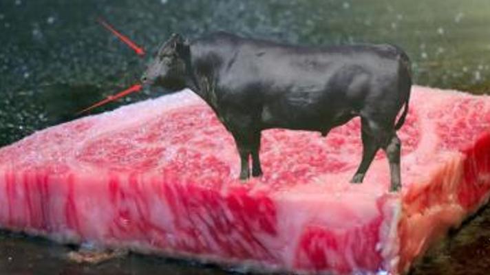 探秘神户牛肉高价之谜：从饲养到餐桌的极致匠心