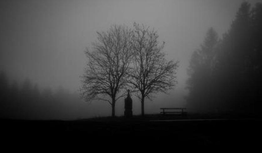 探秘古玩惊现千年怨灵 贪婪之念引致命诅咒