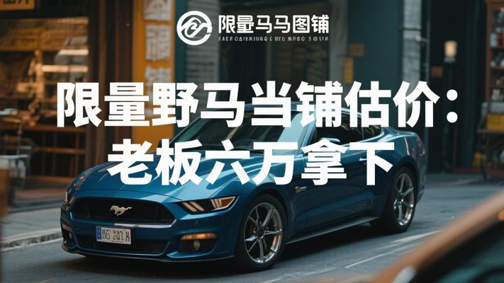 限量版野马当铺估价实录 老板六万强势拿下