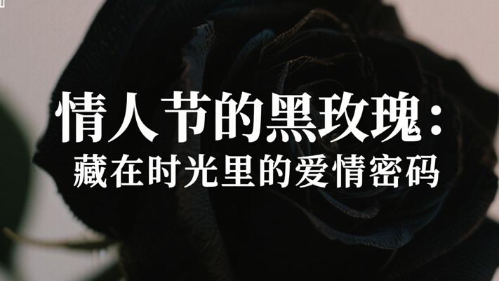 情人节的黑玫瑰：藏在时光里的爱情密码