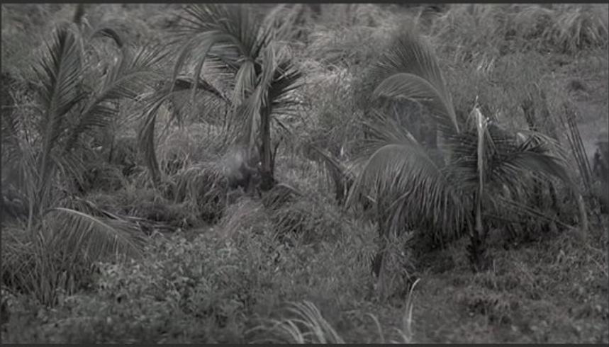 越军师长马永南嚣张轻敌 三天溃败成光杆司令