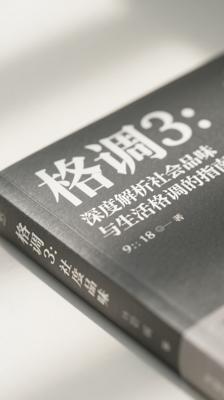 格调3：深度解析社会品味与生活格调的指南