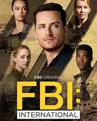 《联邦调查局：国际第四季》：跨国追凶续写热血篇章