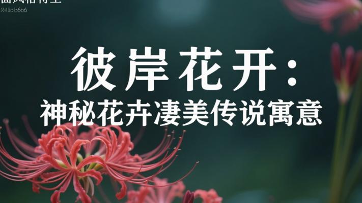 彼岸花开：神秘花卉背后的凄美传说与寓意