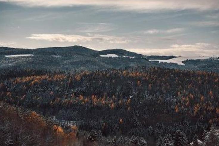 康熙年间临清县：衙役与僵尸的惊悚雨夜惊魂