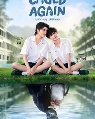 《再次被关》：奇幻设定下的浪漫冒险之旅