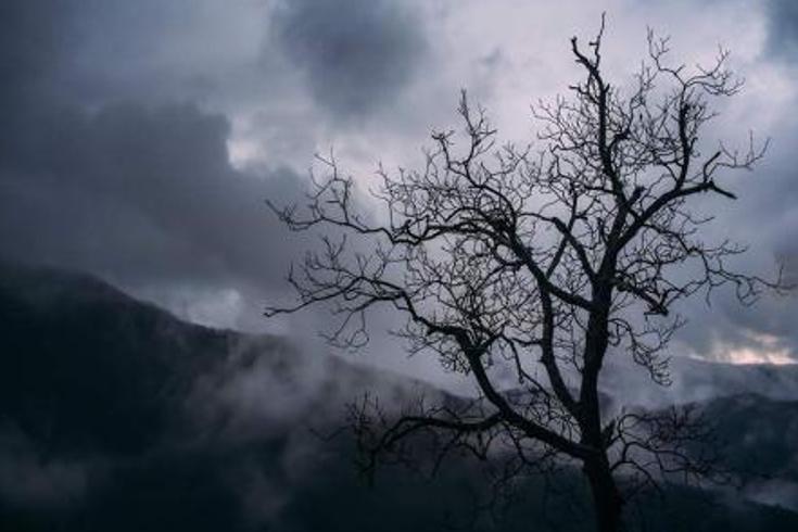 清咸丰长舌鬼祸乱山村 邓发道人智擒邪祟记