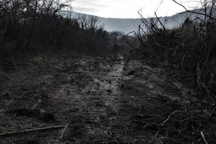 《巫蛊迷局：血色情怨下的致命算计》