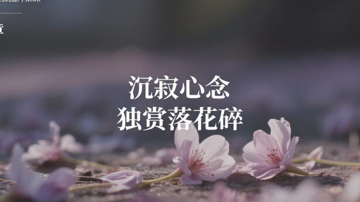 沉寂心念独看落花碎