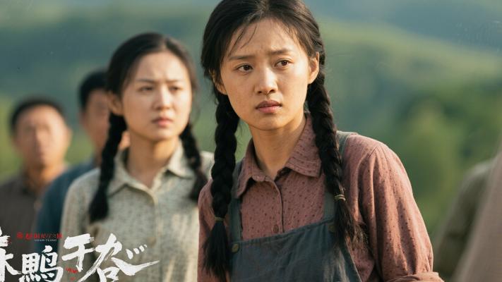 麻雀：平凡世界里的坚韧精灵