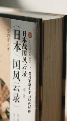 日本战国风云录德川家康生平与时代解析