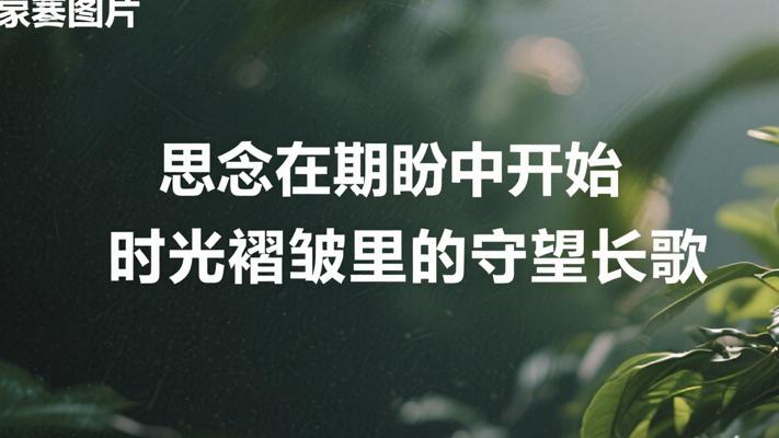 思念在期盼中开始 时光褶皱里的守望长歌