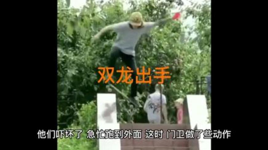 《双龙出手》：正邪博弈下的双雄对决与惊天阴谋