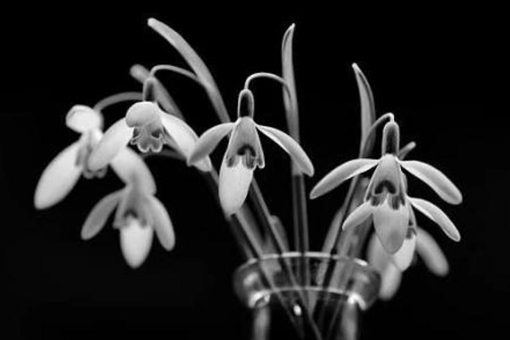 祠山张大帝显威：祖坟风水争夺的惊魂奇案