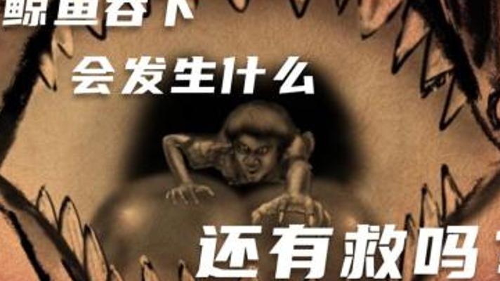 如果被鲸鱼吞下会怎样？全过程揭秘生存概率为零