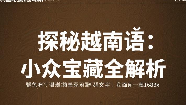 探秘小众宝藏：小语种越南语全方位解析