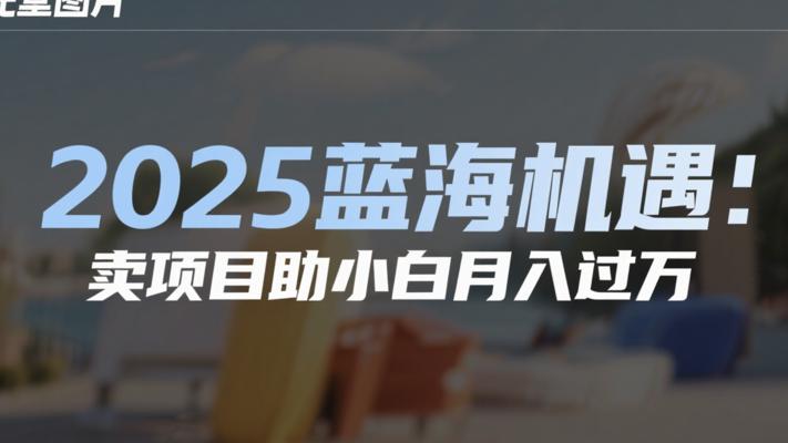 2025蓝海机遇：卖项目助小白月入过万