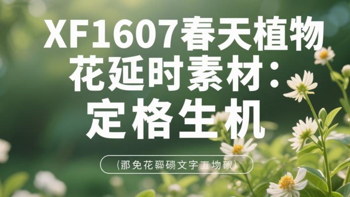 XF1607春天植物花草延时素材：定格生机