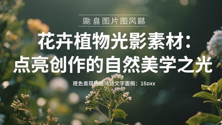 花卉植物光影素材：点亮创作的自然美学之光