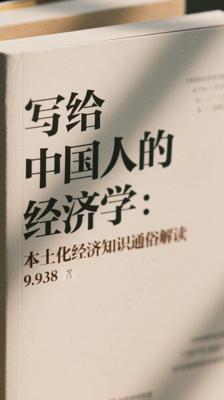 写给中国人的经济学：本土化经济知识通俗解读