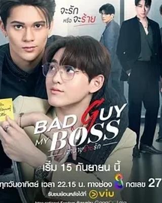 《我的坏老板》：职场中绽放的禁忌爱恋故事